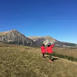 Le Castellare Montemonaco