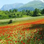 Le Castellare * Montemonaco