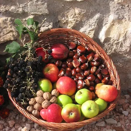 Le Castellare Bauernhof *