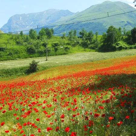 Le Castellare * Montemonaco