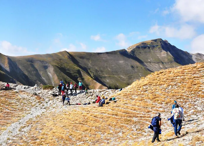 팜스테이 Le Castellare 몬테모나코